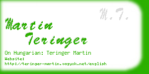 martin teringer business card